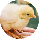 K.O　25歳　女性